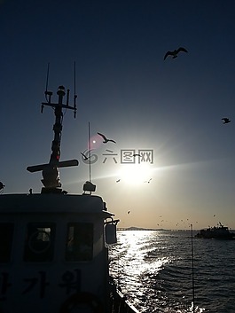 海,漁船,捕魚