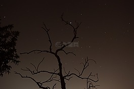 夜,天空,干
