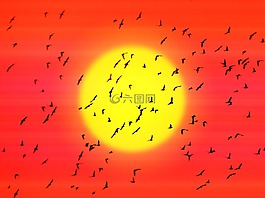 鳥,羊群,飛行