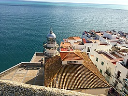 灯塔,海,景观