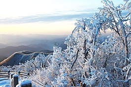 雪,冬季,大自然