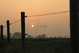 土地,籬笆,日落