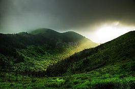 耶穌光,山,樹
