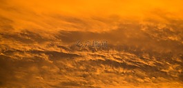 天空,樹,秋季