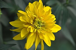 游戲,公園,娛樂