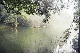 霧,湖,水