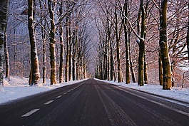 冬天,道路,雪