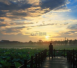 日落,景觀,視圖