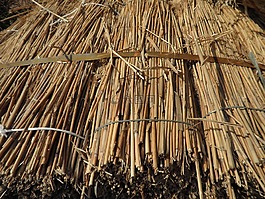蘆葦,草,屋面材料