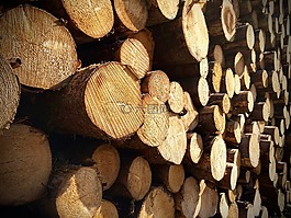 木,堆棧,holzstapel
