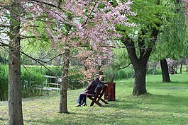 老人,公園,休息