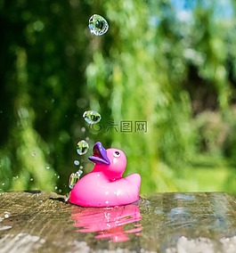 rubberduck,玩具,水