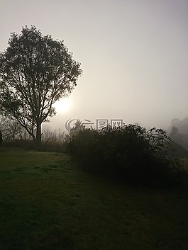 霧,tallangatta,維多利亞