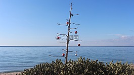 人體內(nèi)的水,天空,海