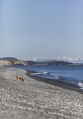 自然,水,海洋