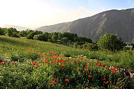 性質(zhì),景觀,山
