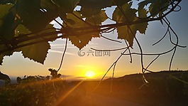 日出,太陽,上午