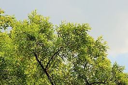 天空,陰,灰色