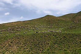 性質,山,群