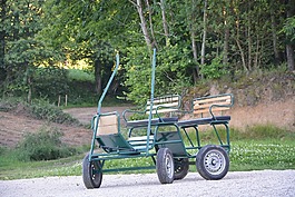 馬車,騎,公園