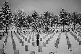 雪,公墓,国家墓地