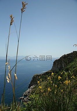 地中海,假期,廠