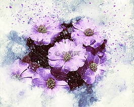 鮮花,紫色,自然