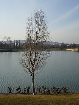 多瑙河,kopaszi 壩,水