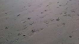 痕跡,腳印,足跡