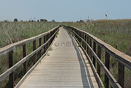 海灘,路徑,步行