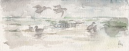 水彩畫(huà),霧,鴨