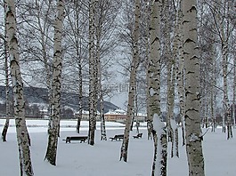 pillnitz,德累斯顿,冬天