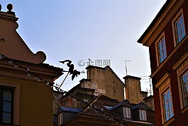 屋頂,龍,天臺(tái)