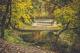 秋季,性質(zhì),綠色