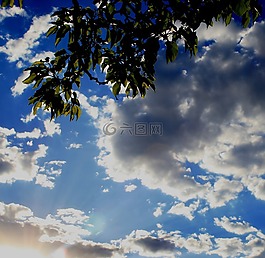 天空,發(fā)光,云