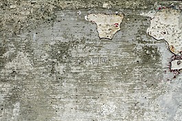 現(xiàn)年,木材,鄉(xiāng)村
