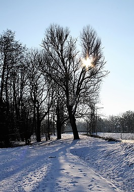 冬天,弗羅斯特,雪