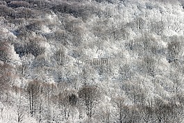 示例,結構,背景