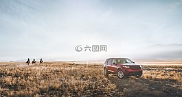 自然,景觀,草