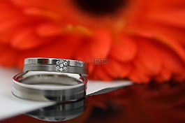 環(huán),鮮花,婚禮