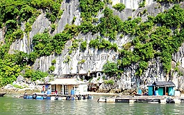 船屋里,越南,贫穷