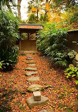 木材,叶,花园