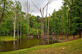 阿拉巴馬州,池,水
