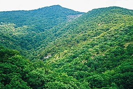 山,夏季,綠黨