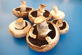 蘑菇,食品,健康