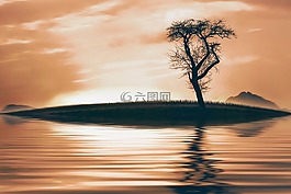 樹(shù),性質(zhì),湖