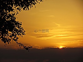 西,草甸,字段