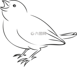 鸟,麻雀,斯珀林