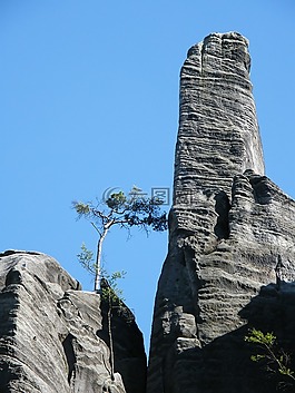 松,孤獨(dú),巖石