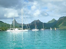 莫雷阿島,大溪地,帆船